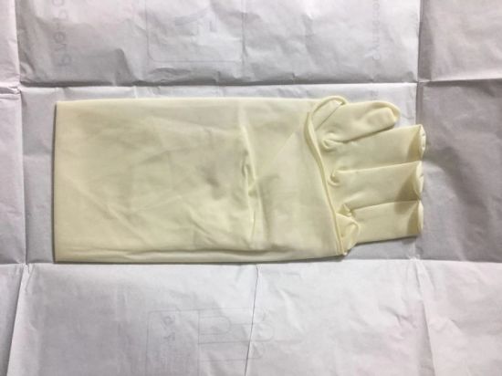 Medical Surgical Gynaecological Rubber Latex Pre-Powder Nonpowder Gloves Glove