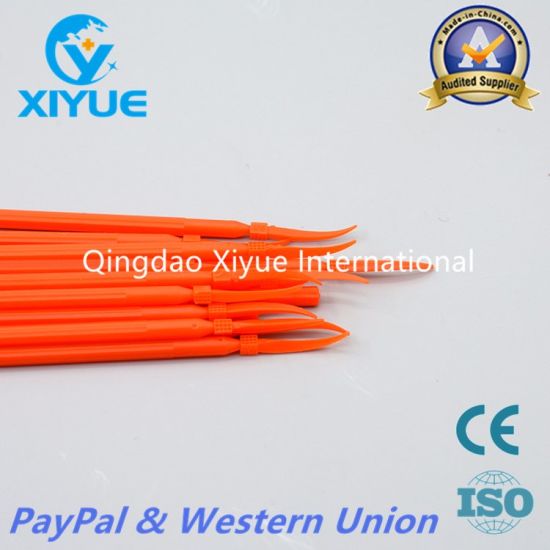 Disposable Dental Wood Wedge with High Quality