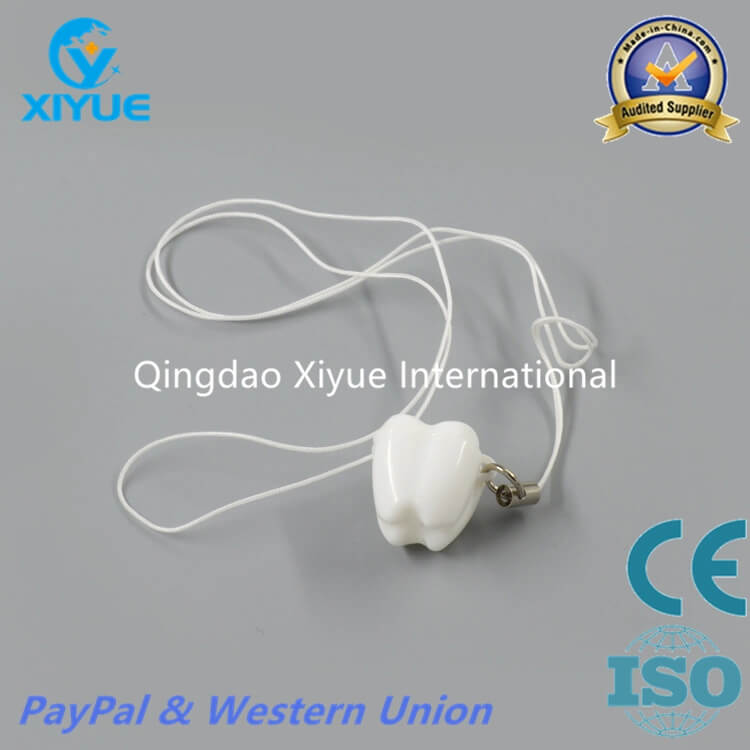 Children Denture Box with High Quality